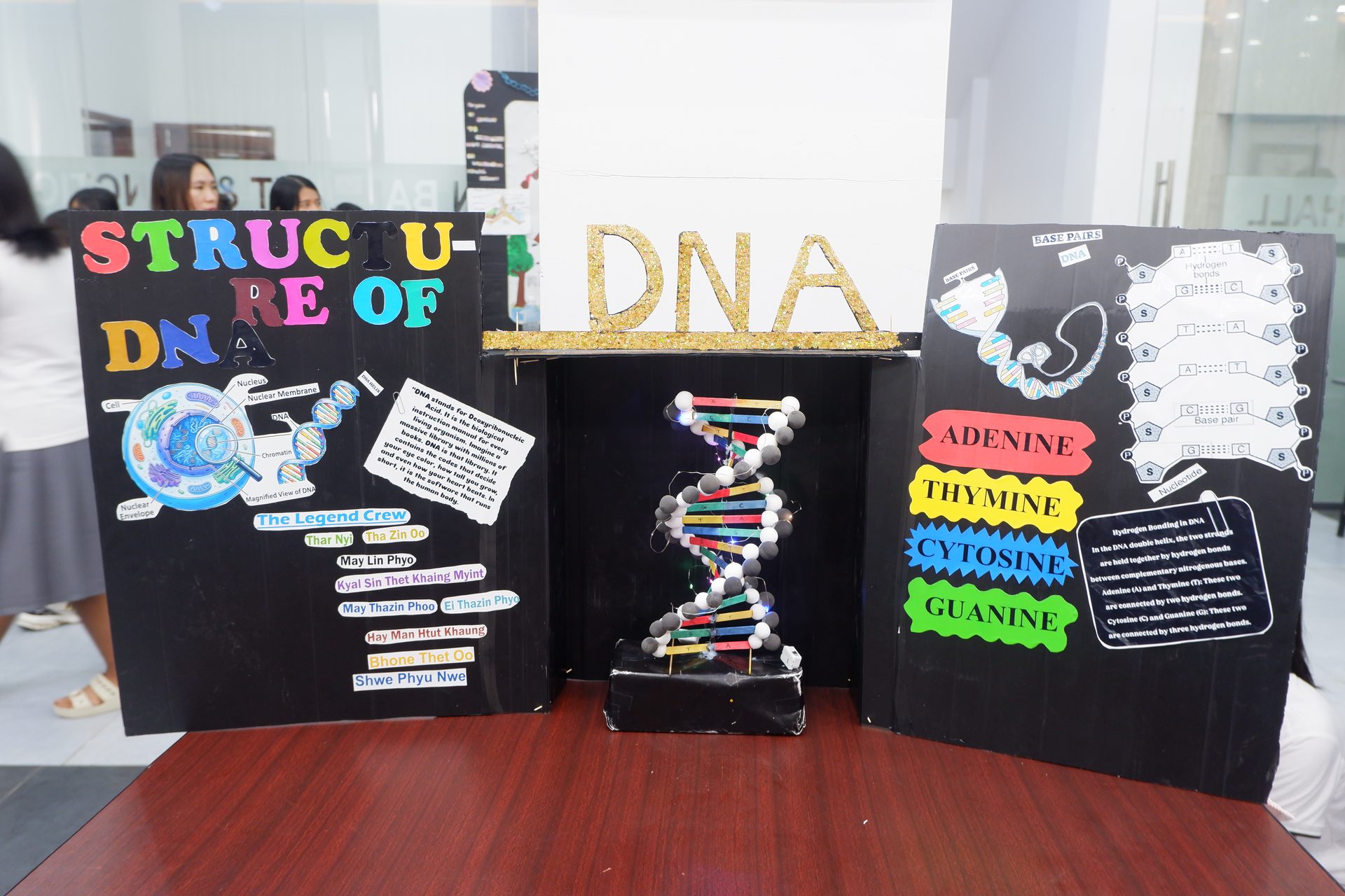 Student-made DNA science display